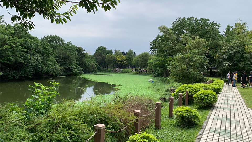大安森林公園。翻攝自交通部觀光署