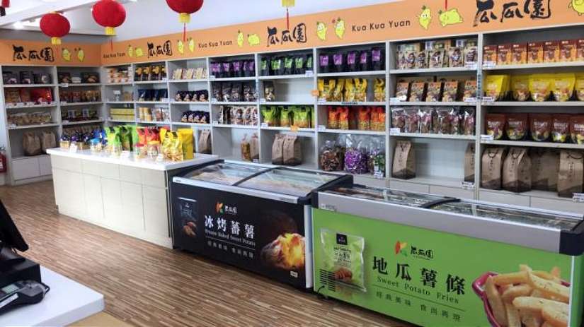 臺南高溫限定 瓜瓜園地瓜生態故事館 中元禮讚保平安