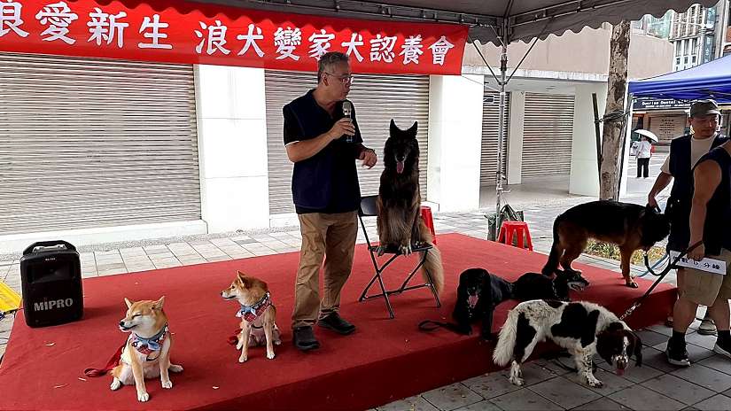 新北動保處邀請成為最棒的毛爸媽一起歡慶台灣狗狗節