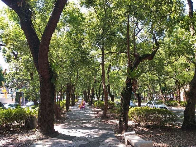 秋日漫步敦化南路林蔭 看見街角大師級公共藝術