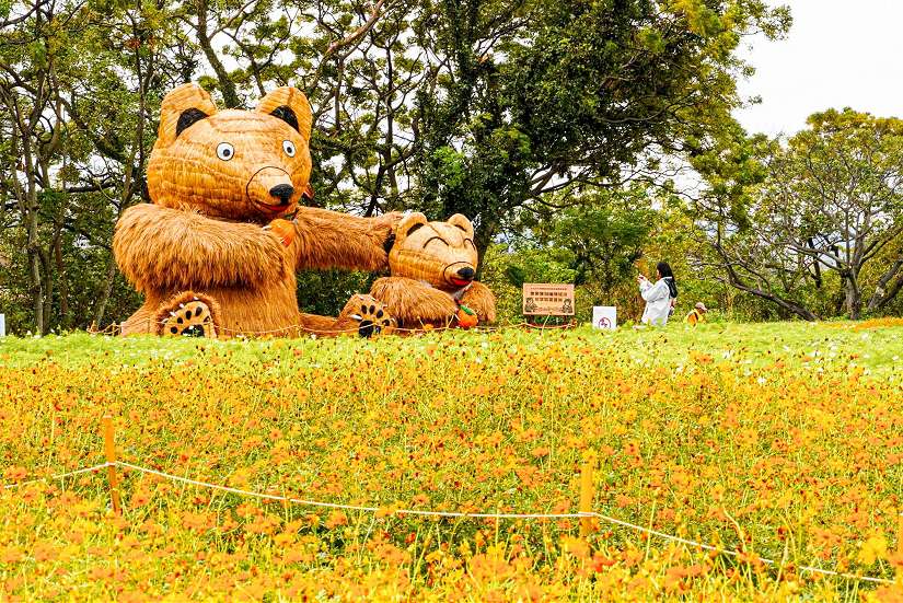 康芮不惜花 關渡花海受損目前開5成