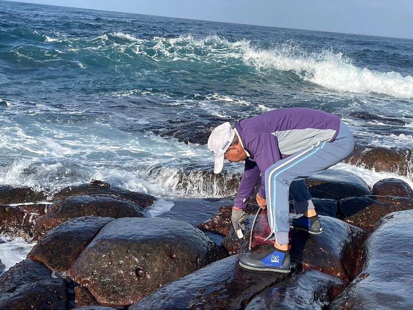 海波浪拍打下的美味「黑金」 快來東北角品嚐野生紫菜