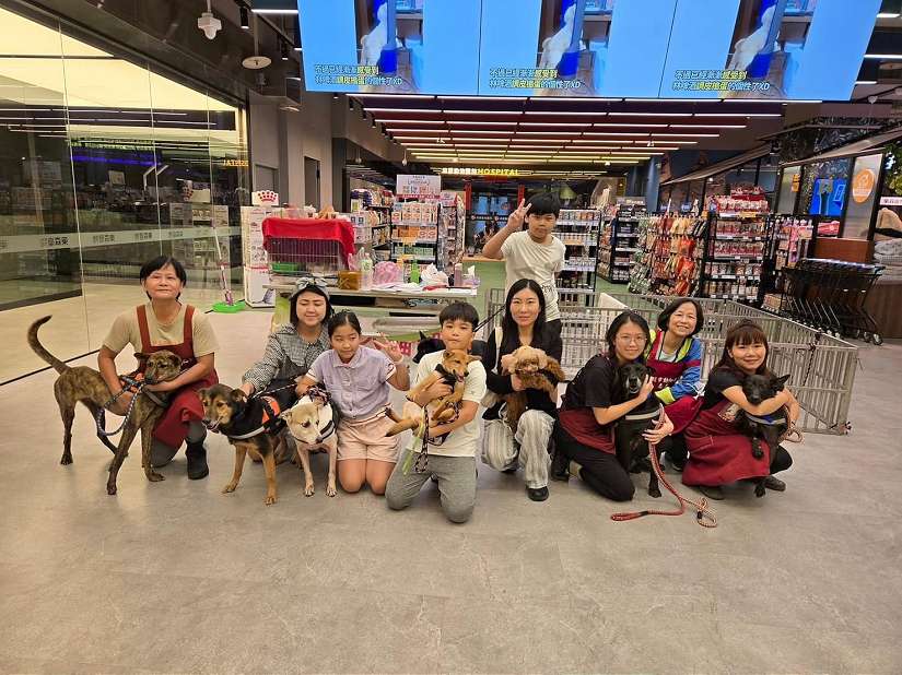 中和動物之家暖心動保團體-古代同盟會,13年協助認養數百隻動物找到溫暖的家