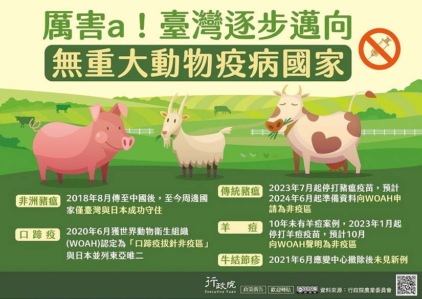 114年度臺東縣犬貓絕育補助元旦正式開跑 歡迎飼主把握機會