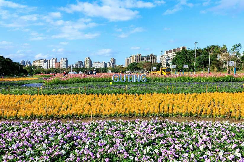 北市河濱粉色浪漫來襲 古亭花海仙氣爆棚