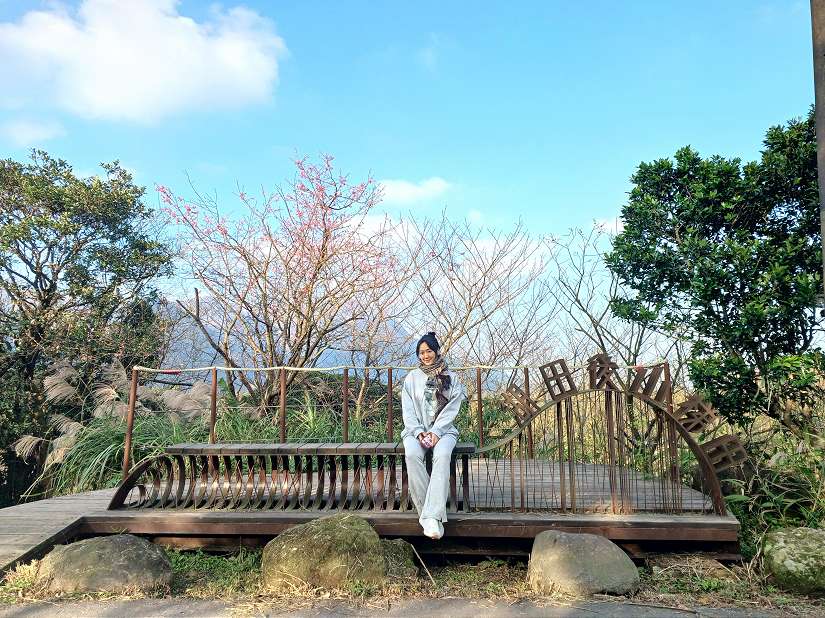 迎春賞花好去處，陽明山湖田、湖山花季必遊指南