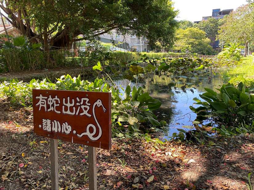 蛇年裝置藝術+視、聽覺饗宴 竹縣鬧春走藝文風