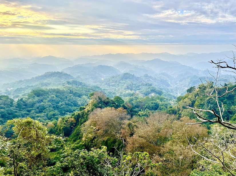 台中大坑登山步道春遊減脂好去處 2號彩色森林步道美景開箱