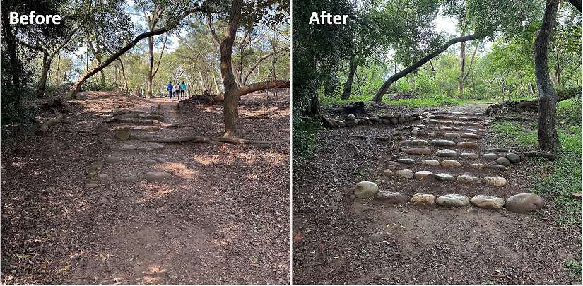 大甲鐵砧山新玩法!桂花泉登山步道邀你體驗手作步道之美