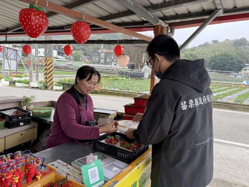 草莓農藥無殘留,採果開心又安心