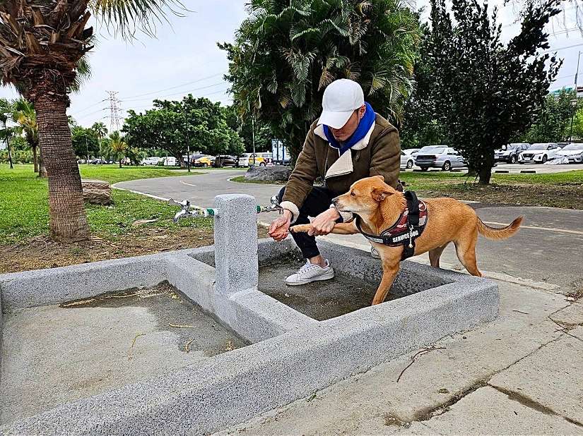 讓毛孩盡情奔跑 永和綠寶石寵物公園更新350公尺安全圍籬