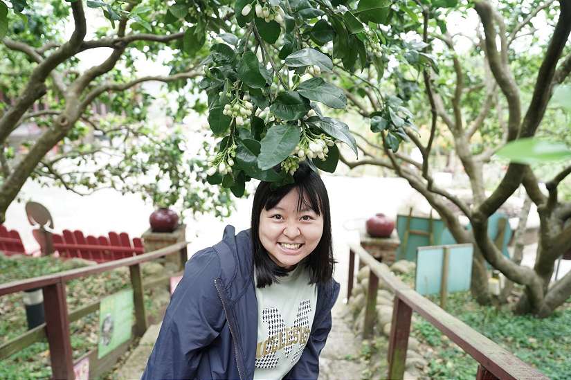 新北八里柚花秘境 連假踏青首選