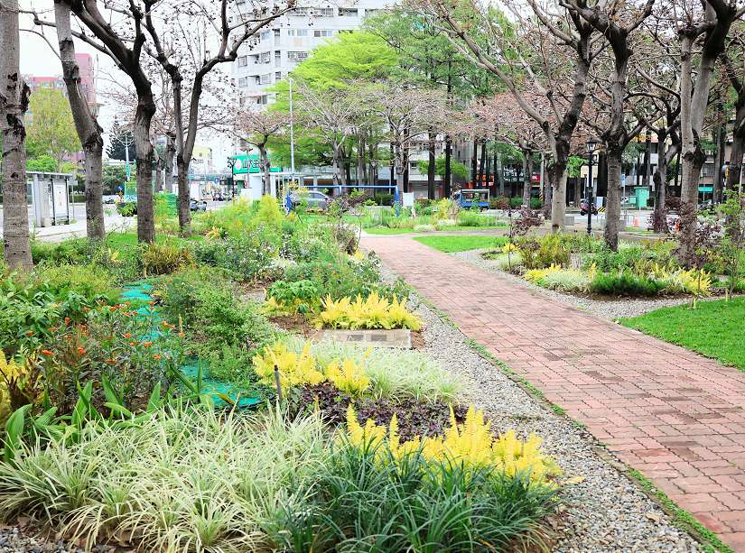 花之道計畫持續前進！ 台中南區忠明園道綻放花園新貌