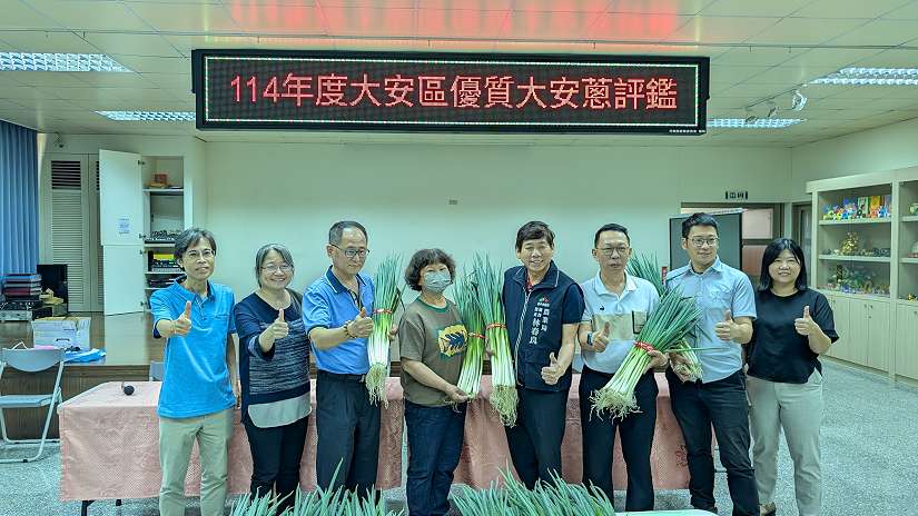 大安葱盛產期風味絕佳 農友黃加茵勇奪青葱冠軍