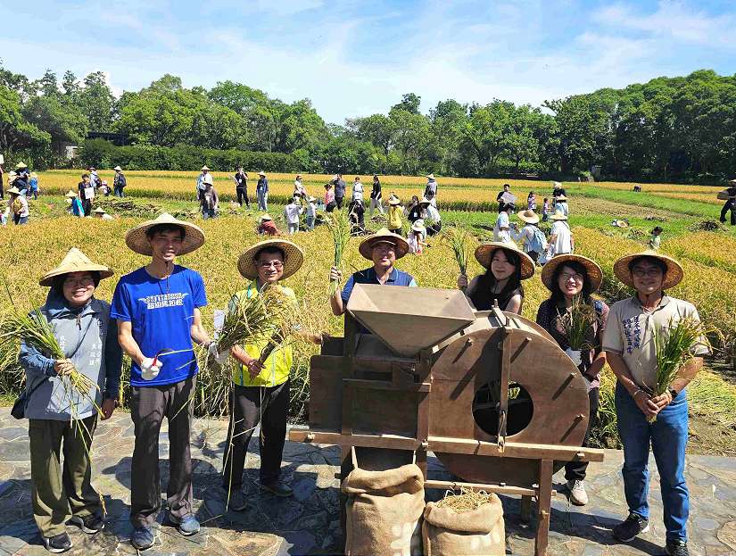 六堆園區農事學堂「六堆黃金稻穗 糯米大豐收」