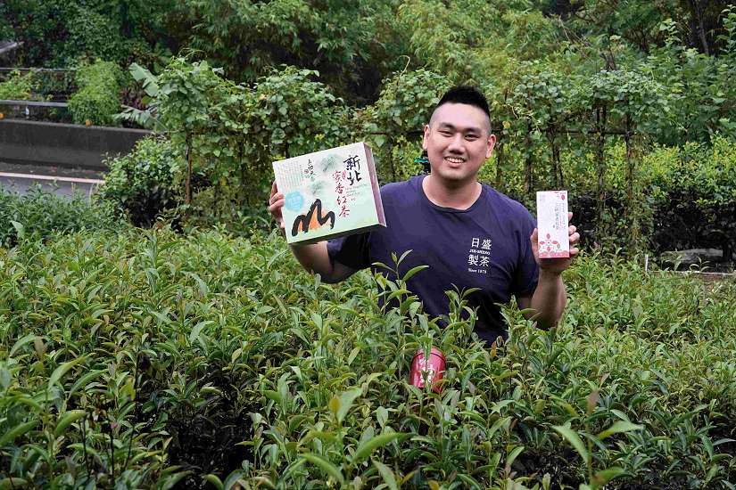 新北蜜香紅茶評鑑結果出爐 三峽青農周子耀蟬聯3年冠軍