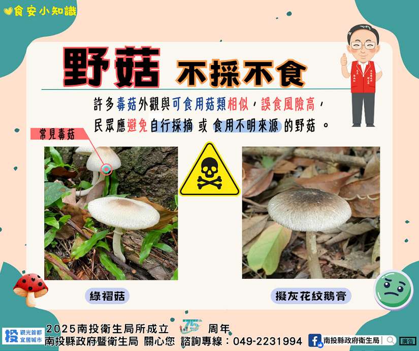 野生菇類勿亂採亂吃　南投縣府衛生局籲民眾留意食安風險