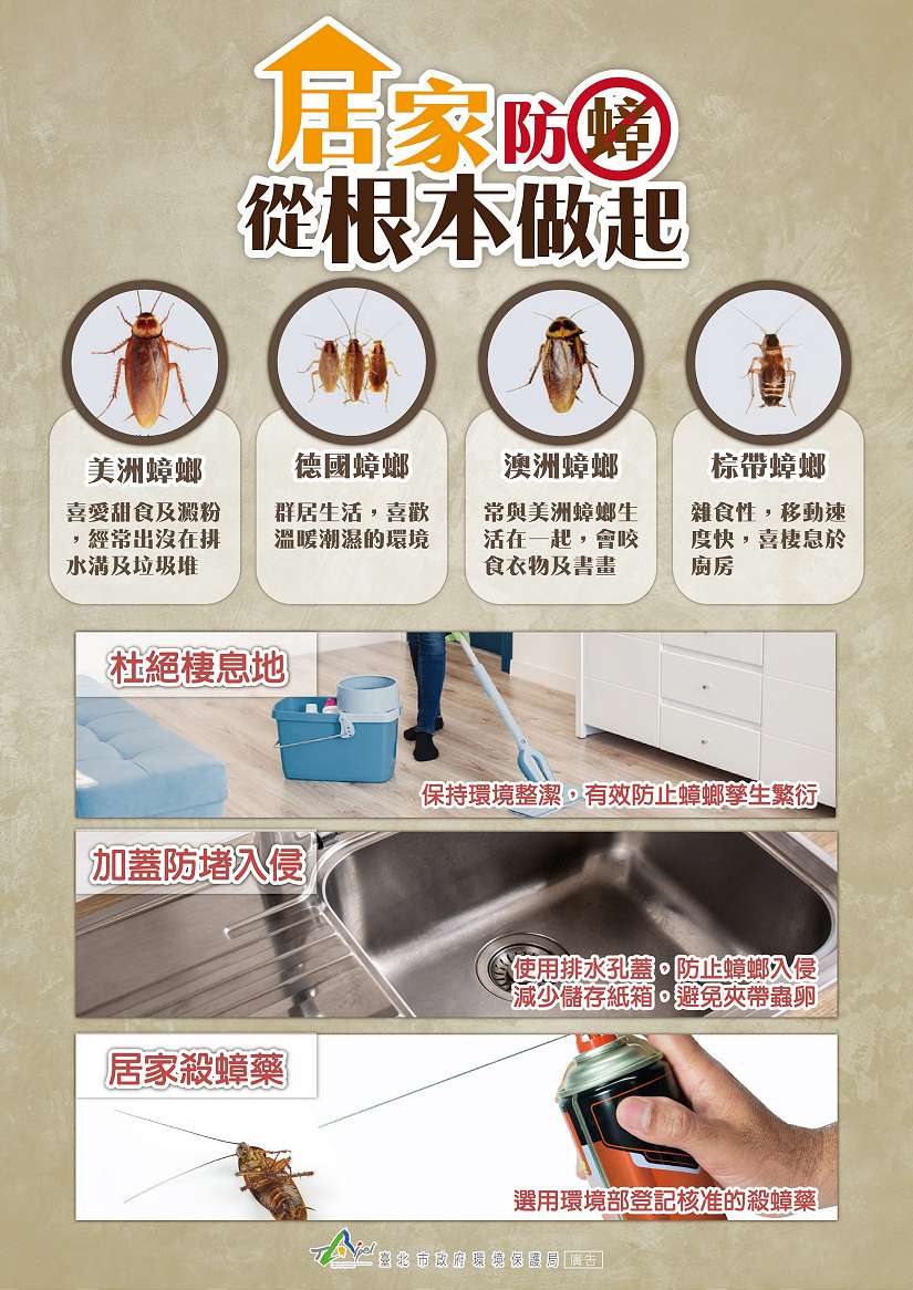 別讓「小強」太猖狂！防蟑三寶守護居家健康