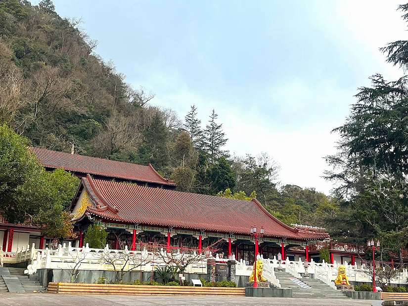 遊梨山避暑幸福巴士帶路！中市交通局推高海拔觀光包車帶你吃桃品茶