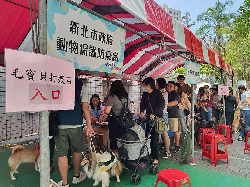 寵物絕育疫苗不可怕 新北動保處提醒飼主責任