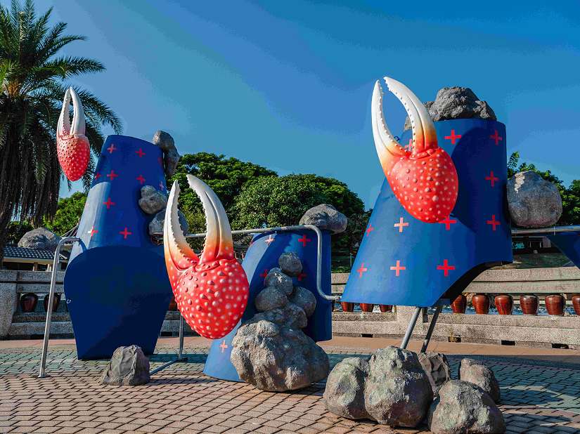 與招潮蟹共舞 傾聽濕地的聲音 「清水走走藝術季」邀您跟著潮汐去旅行