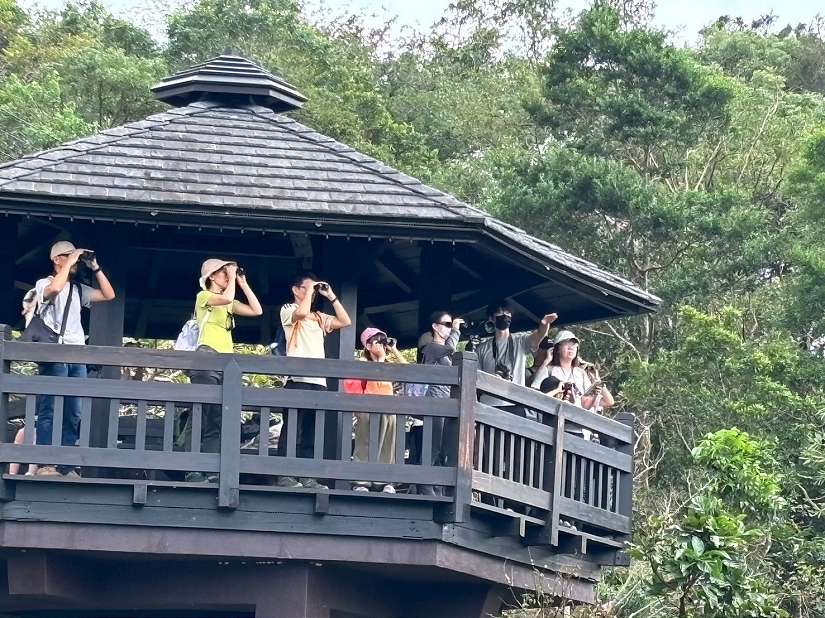 走進候鳥與沙灘植物祕境 田寮洋小旅行開始報名