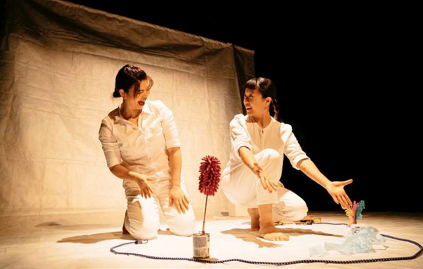 板橋435藝文特區「幸福感實驗室 」11/15-16療癒登場！