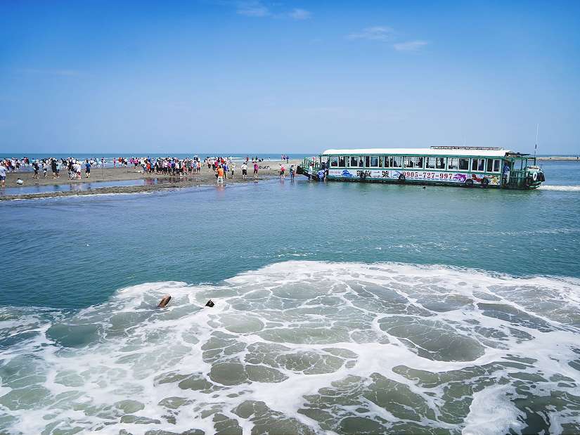 候鳥季來了，嘉義縣文觀局推「鷺境嘉義」親子賞鳥活動