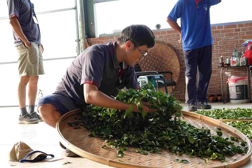 新北好茶登場茶博 周末茶香迎賓送好禮