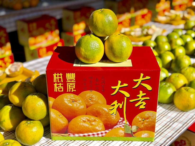 中市優質椪柑評鑑結果出爐 東勢區詹前慶榮獲今年「椪柑王」