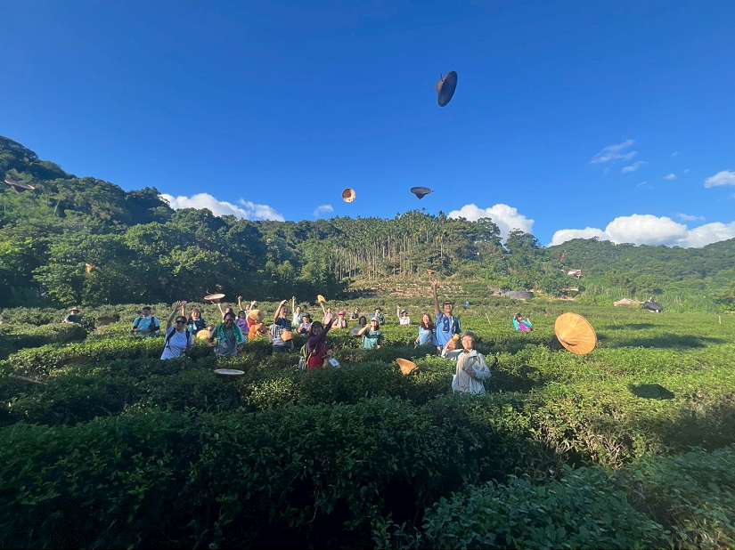 山林、茶香與人文同行　新北「微笑山線」展現家山魅力