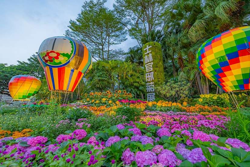13萬盆菊花與藝術碰撞火花！ 士林官邸菊展11/28盛大亮相