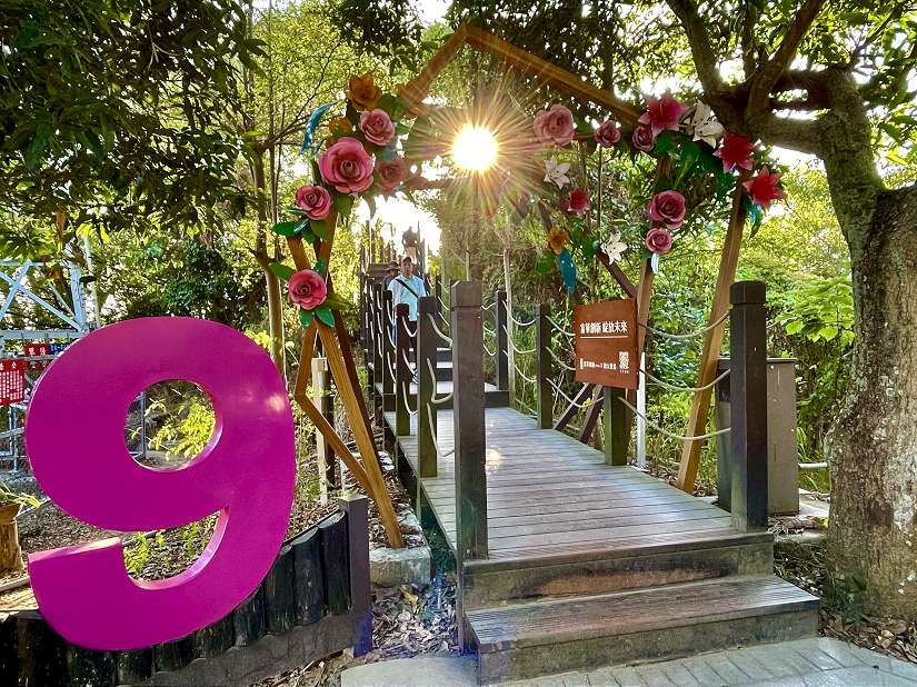 走進山林讀愛情！大坑9號、9-1號步道打造聖誕限定「愛戀步道」