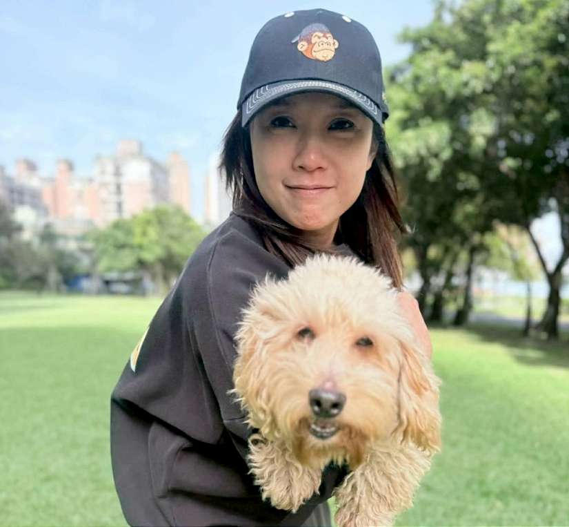 創意行銷收奇效 新北動保助超萌「米克斯」回歸幸福