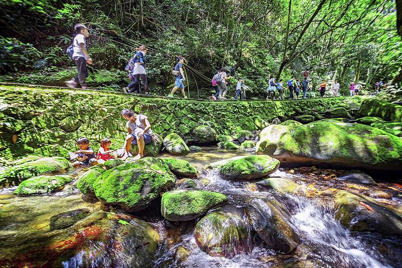 萬人完成認證　2025臺北大縱走倒數中