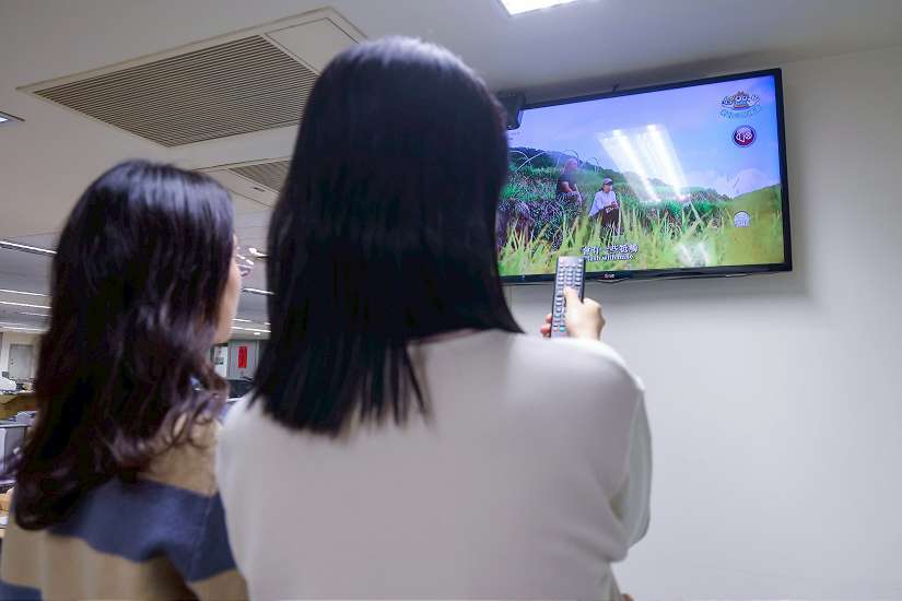 新北市115年有線電視基本頻道收視費用維持現行費率