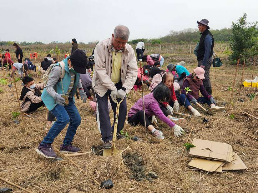 公私齊力推動茄萣濱海造林有成 生態復育展新機