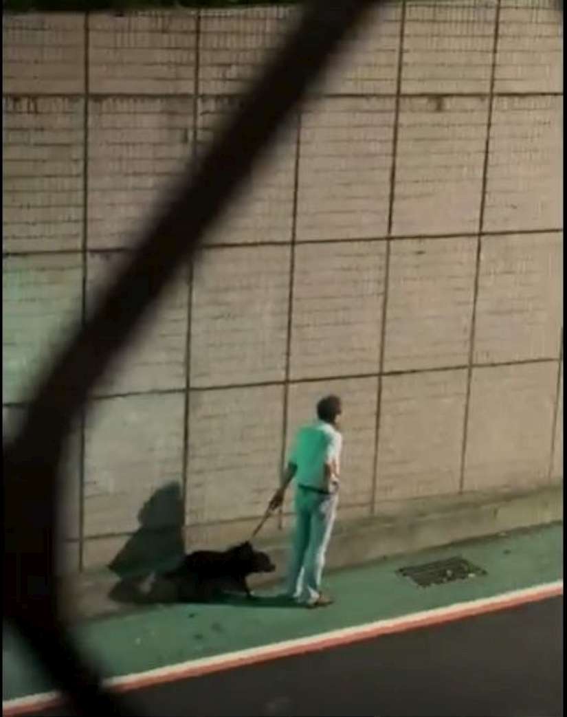 文山區社區住戶養狗門沒關衝出傷人 北市動保處將依動物保護法開罰