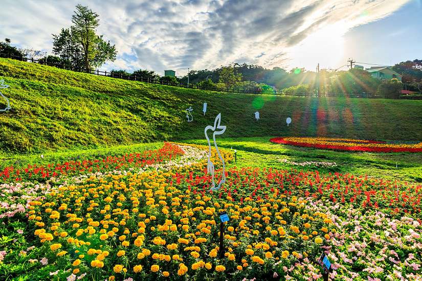 北市河濱花海喜迎春 幸福加馬過新年
