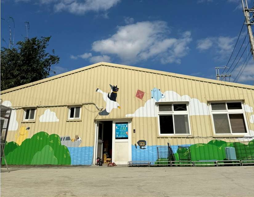 新北動保力推熟齡毛寶貝認養 認養好康幸福感滿分