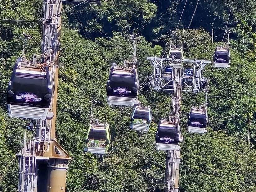 貓空纜車9臺彩繪車廂高空登場 北捷遊憩串聯城市應援 邀粉絲搭纜車登「天空綠洲」看臺北