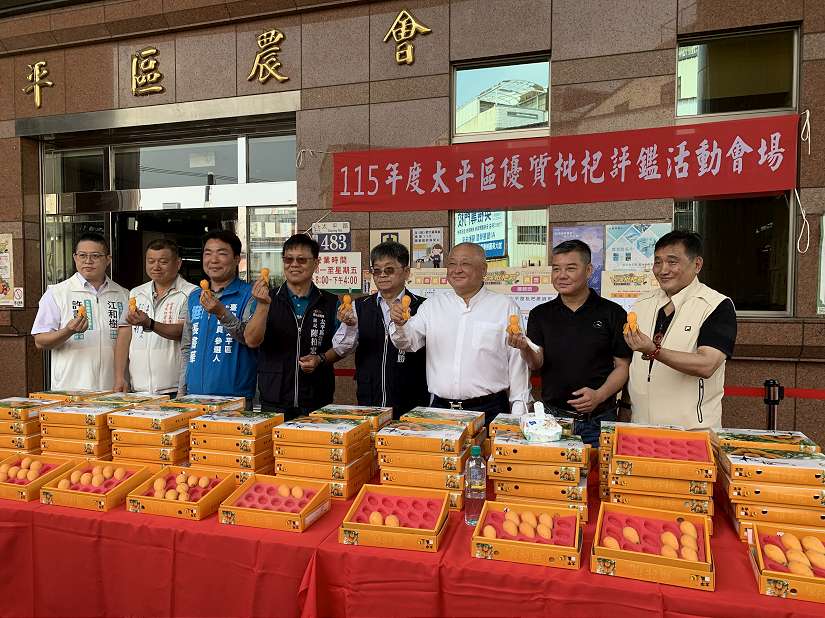 太平枇杷王出爐！台中優質枇杷評鑑揭曉　品質再獲肯定