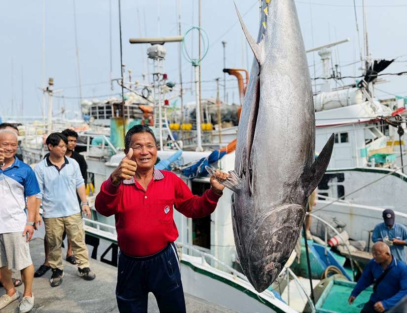 2026屏東東港第一鮪報到　資深船長洪福家奪頭采