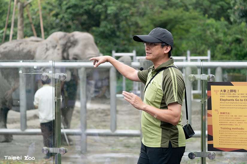 大象上學趣 保母講古分享動物訓練大小事