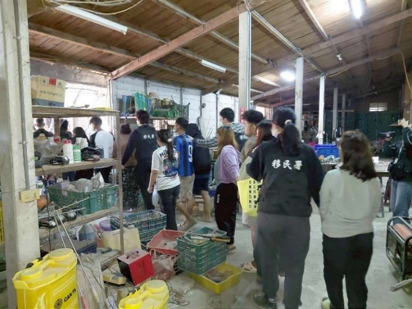 名牌包當業績獎、鐵皮屋藏黑工 移民署破獲家族人蛇集團　救出30名被害人
